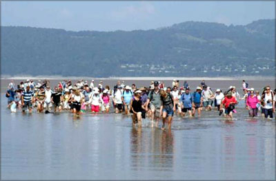 bay search and rescue2.jpg